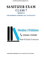 SANITIZER STD 7 SERIES 1.pdf